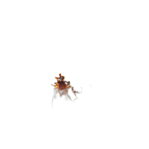 Жаростійке волокно GLOW FLAME Kratki